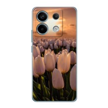 Чехлы с картинкой (Тюльпаны) на Поко Х6 (5G) – Закат с цветами