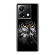 Чехлы с принтом СОВЫ для Xiaomi POCO X6 5G – Сова на чёрном