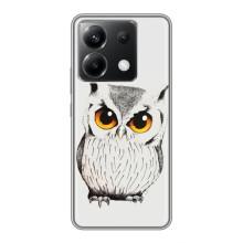 Чехол с птицами на Xiaomi POCO X6 5G (VPrint)