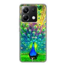 Чехол с птицами на Xiaomi POCO X6 5G (VPrint)