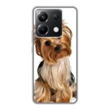 Чехол (ТПУ) Милые собачки для Xiaomi POCO X6 5G (Собака Терьер)