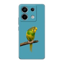 Силиконовый чехол с птичкой на Xiaomi POCO X6 5G (Попугайчик)