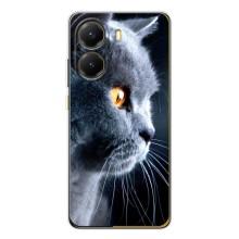 Чохли з Котиками для Xiaomi POCO X7 Pro (VPrint) (Сірий Кіт)
