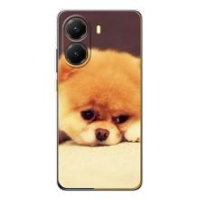 Чехол (ТПУ) Милые собачки для Xiaomi POCO X7 Pro – Померанский шпиц