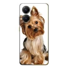 Чехол (ТПУ) Милые собачки для Xiaomi POCO X7 Pro – Собака Терьер