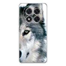 Чехлы с картинками животных Xiaomi POCO X7 – Волк