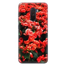 Чехлы с Цветами для Xiaomi POCO F1 (VPrint) (Цветы красные)