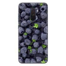 Чохли з фруктами для Xiaomi POCO F1 (VPrint) (Ожина)