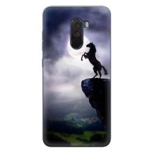 Чехлы с изображением разных животных для Xiaomi POCO F1 – Лошадь