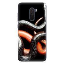Чехлы с изображением разных животных для Xiaomi POCO F1 – Змея