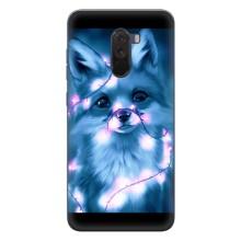 Чохли з картинкою Лисичка для Xiaomi POCO F1 (VPrint) (Яскрава лисичка)