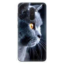 Чехлы с Котиками для Xiaomi POCO F1 (VPrint) (Серый Кот)