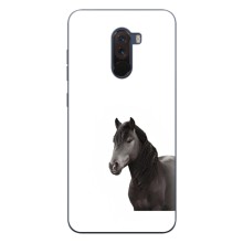 Чехлы с Лошадью дляXiaomi POCO F1 (VPrint) (Чорний кінь)