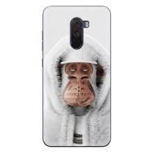 Чохли з Мавпами NFT для Xiaomi POCO F1 (AlphaPrint) (мавпа NFT в тату)