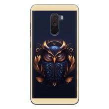 Чехлы с принтом СОВЫ для Xiaomi POCO F1 – Стильная Сова