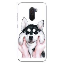 Чохли з собаками для Xiaomi POCO F1 (VPrint) (Радісний Хаскі)