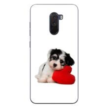 Чохли з собаками для Xiaomi POCO F1 (VPrint) (Песик)