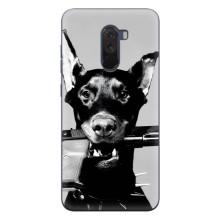 Чехол ДОБЕРМАН для Xiaomi POCO F1 – Опасный доберман