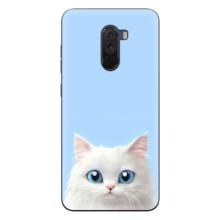 Чехол на тематику: Коты для Xiaomi POCO F1 – Белый кот