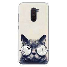 Чехол на тематику: Коты для Xiaomi POCO F1 – Модный кот