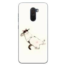 Чехол на тематику: Коты для Xiaomi POCO F1 – Отдых