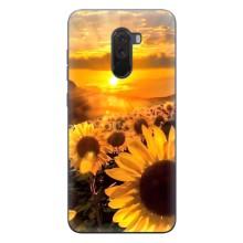 Чехол с Цветами для Xiaomi POCO F1 (поле подсолнухов)