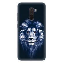 Чохол з картинкою на Xiaomi POCO F1 – Лев – синій