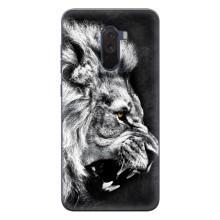Чохол з картинкою на Xiaomi POCO F1 – Злий Лев