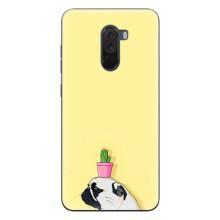 Бампер для Xiaomi POCO F1 с картинкой "Песики" (Кактус на голове)