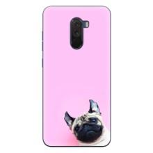 Бампер для Xiaomi POCO F1 с картинкой "Песики" (Собака на розовом)