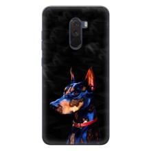 Бампер для Xiaomi POCO F1 с картинкой "Песики" (Собака Мопс)