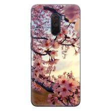 Чехол с принтом САКУРЫ на Xiaomi POCO F1 – Цветущая сакура