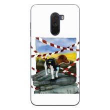 Чехол с принтом Собаки Патрон для Xiaomi POCO F1 (Храбрый Патрон)