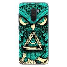 Чохол з пташками на Xiaomi POCO F1 (VPrint) (Сова з оком)