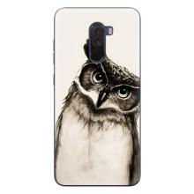 Чохол з пташками на Xiaomi POCO F1 (VPrint) (Сова)