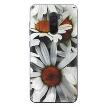 Чохол з ромашками на Xiaomi POCO F1 – Квіти Ромашки