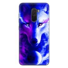 Чехол с Волком на Xiaomi POCO F1 – Арт-Волк