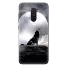 Чехол с Волком на Xiaomi POCO F1 – Волк и луна