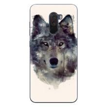 Чехол с Волком на Xiaomi POCO F1 – Волк