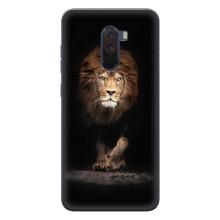 Чохол з картинкою ЛЕВ для Xiaomi POCO F1 (VPrint) (Лев)