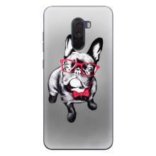 Чехол (ТПУ) Милые собачки для Xiaomi POCO F1 (Бульдог в очках)