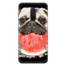 Чехол (ТПУ) Милые собачки для Xiaomi POCO F1 (Смешной Мопс)