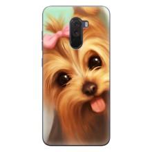 Чехол (ТПУ) Милые собачки для Xiaomi POCO F1 (Йоршенский терьер)