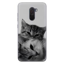 Чехол с рисунком кот на Xiaomi POCO F1 – Пара котов