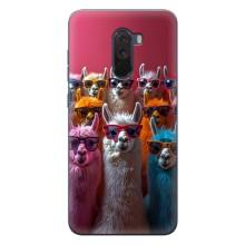 Чехол с принтом стильные животные для Поко Ф1 – Ламы в очках
