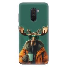 Чехол с принтом стильные животные для Поко Ф1 – Лось с кофе