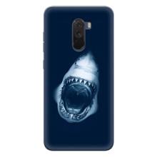 Силиконовый бампер с картинкой животных для Xiaomi POCO F1 – Пасть Акулы