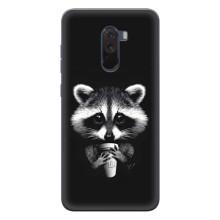 Силиконовый Чехол с Енотами на Xiaomi POCO F1 – С кофем