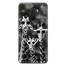 Силіконовий чохол з КАРТИНКАМИ літо для Xiaomi POCO F1 (AlphaPrint) (Жирафи в окулярах)