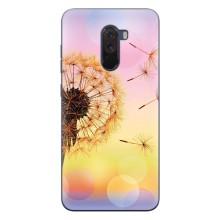 Силиконовый Чехол с одуванчиками на Xiaomi POCO F1 – Цветок-одуванчик